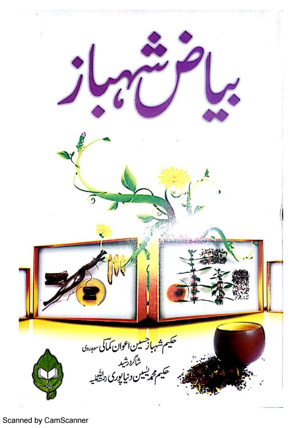 Download Awan Cast History In Urdu Pdf